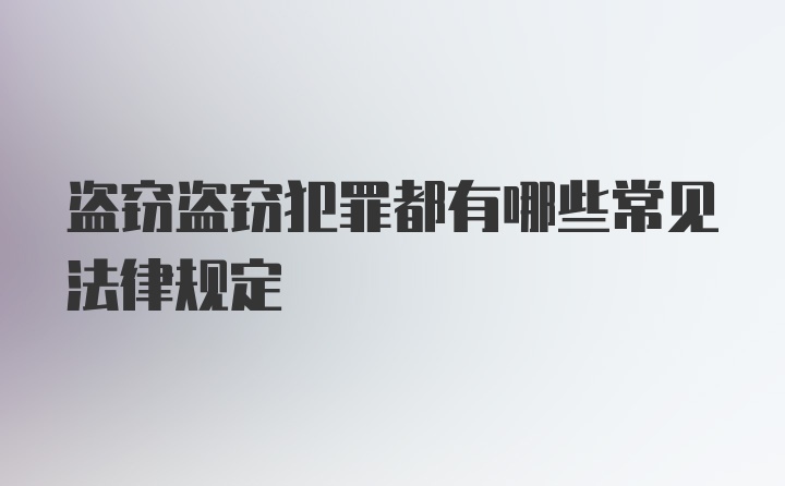 盗窃盗窃犯罪都有哪些常见法律规定