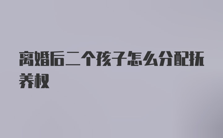 离婚后二个孩子怎么分配抚养权