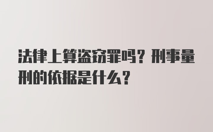 法律上算盗窃罪吗？刑事量刑的依据是什么？