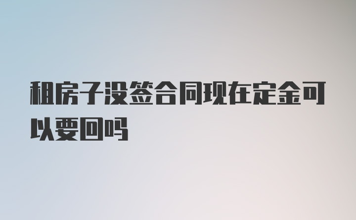 租房子没签合同现在定金可以要回吗