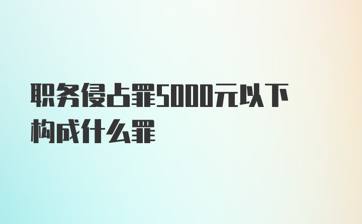 职务侵占罪5000元以下构成什么罪