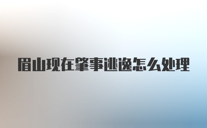 眉山现在肇事逃逸怎么处理