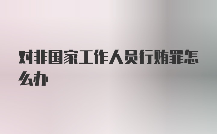 对非国家工作人员行贿罪怎么办