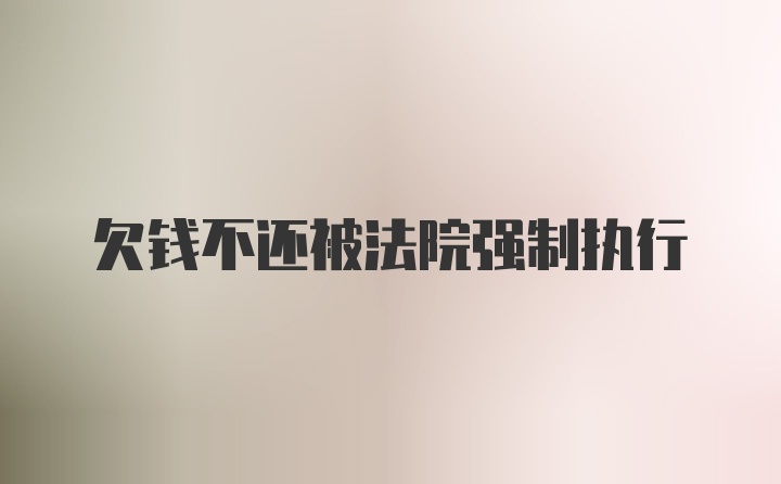 欠钱不还被法院强制执行