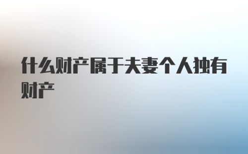 什么财产属于夫妻个人独有财产