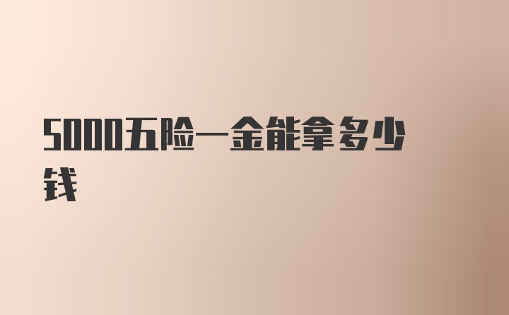 5000五险一金能拿多少钱