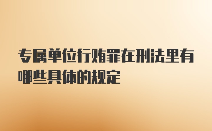 专属单位行贿罪在刑法里有哪些具体的规定