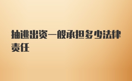 抽逃出资一般承担多少法律责任