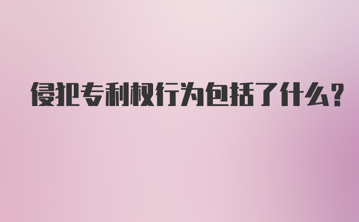 侵犯专利权行为包括了什么?