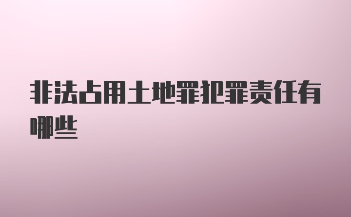 非法占用土地罪犯罪责任有哪些