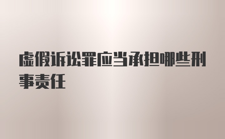 虚假诉讼罪应当承担哪些刑事责任