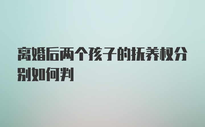 离婚后两个孩子的抚养权分别如何判