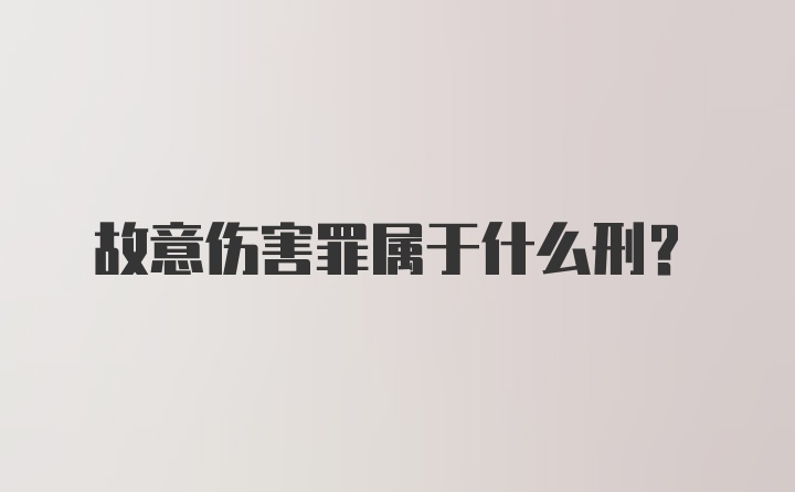 故意伤害罪属于什么刑?