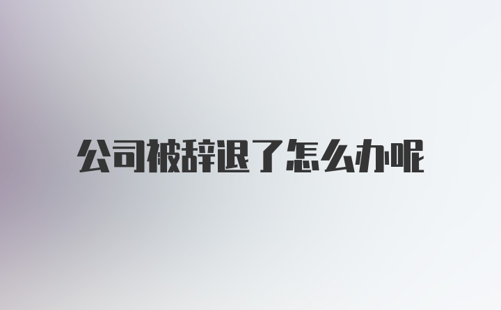 公司被辞退了怎么办呢