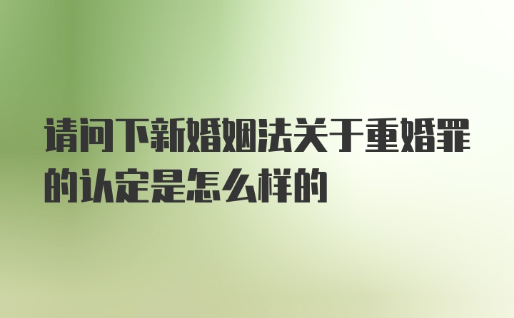 请问下新婚姻法关于重婚罪的认定是怎么样的