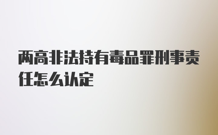 两高非法持有毒品罪刑事责任怎么认定