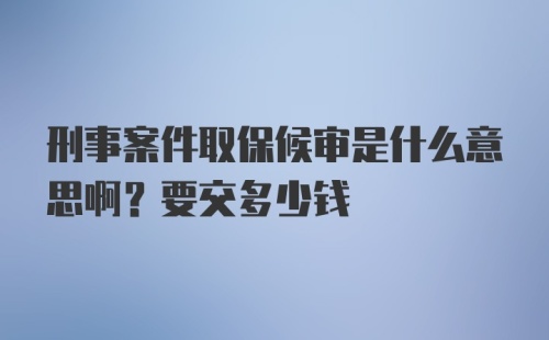 刑事案件取保候审是什么意思啊？要交多少钱