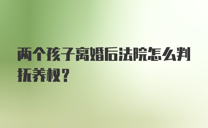 两个孩子离婚后法院怎么判抚养权？