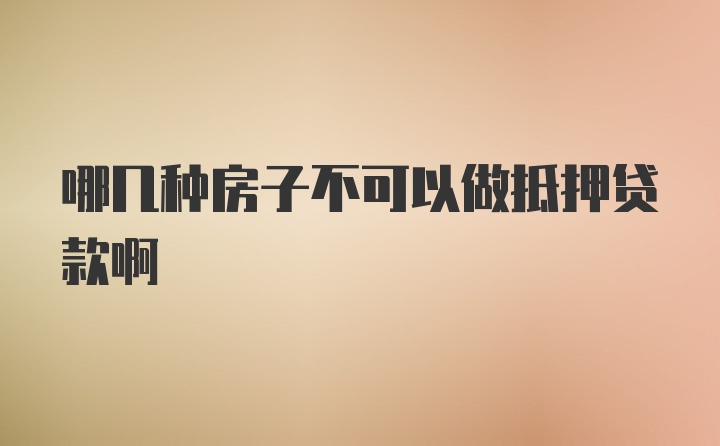 哪几种房子不可以做抵押贷款啊