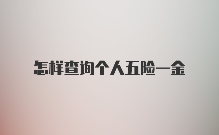 怎样查询个人五险一金