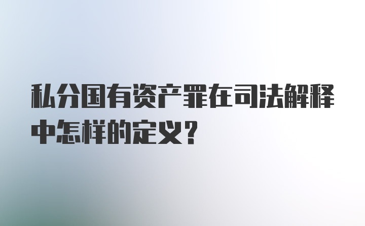 私分国有资产罪在司法解释中怎样的定义？