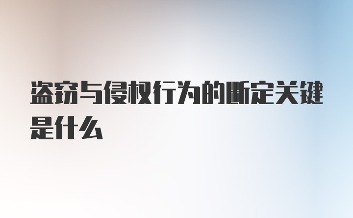 盗窃与侵权行为的断定关键是什么