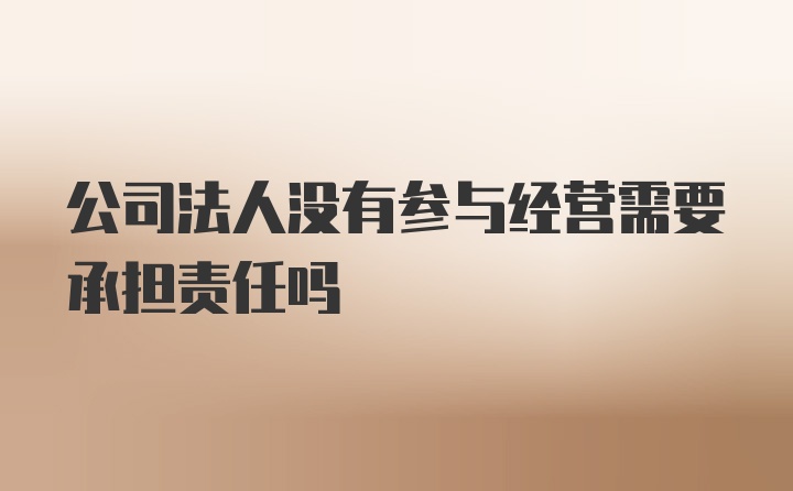 公司法人没有参与经营需要承担责任吗