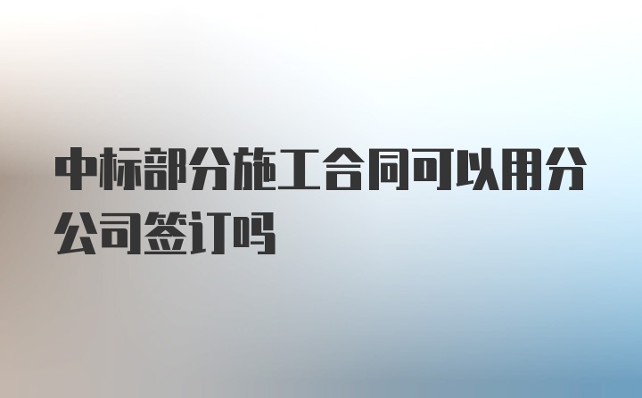 中标部分施工合同可以用分公司签订吗