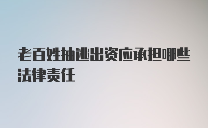 老百姓抽逃出资应承担哪些法律责任