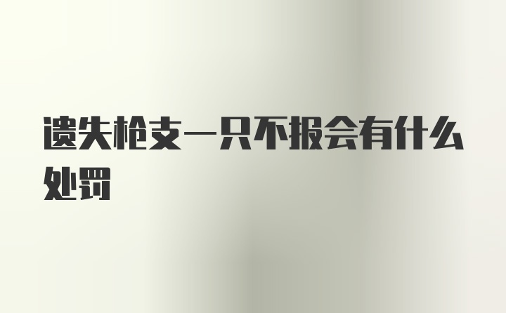 遗失枪支一只不报会有什么处罚