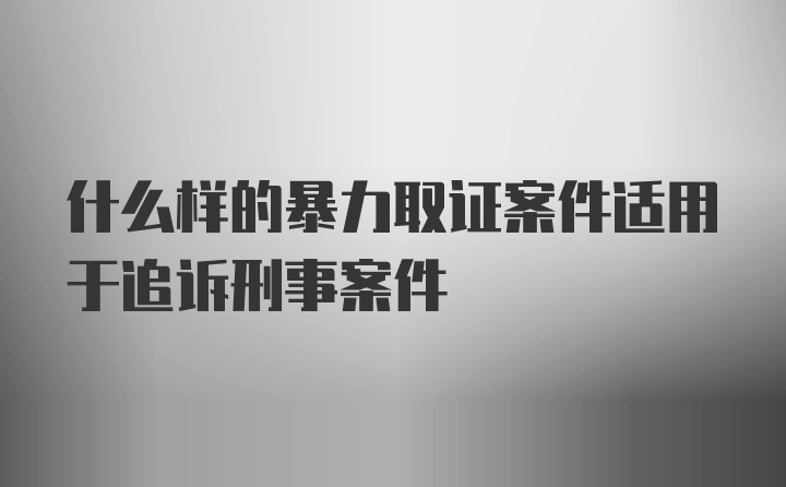 什么样的暴力取证案件适用于追诉刑事案件