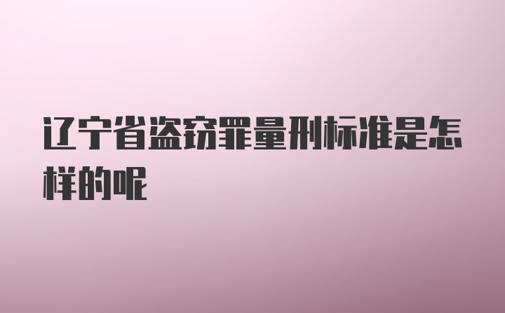 辽宁省盗窃罪量刑标准是怎样的呢