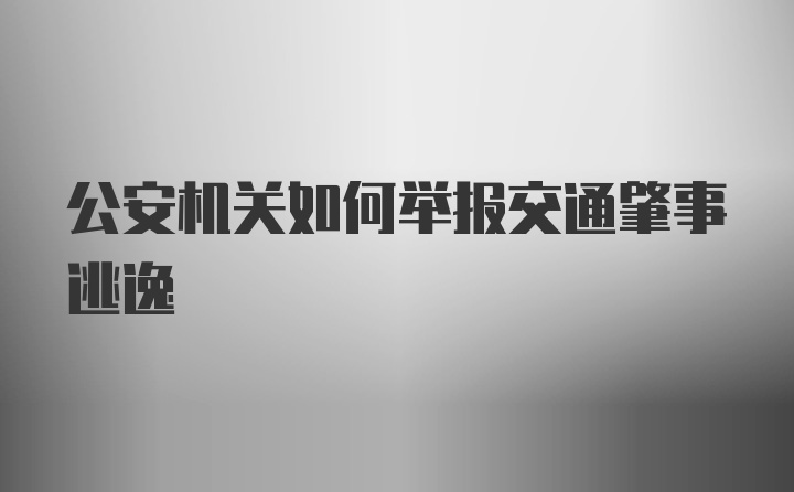 公安机关如何举报交通肇事逃逸