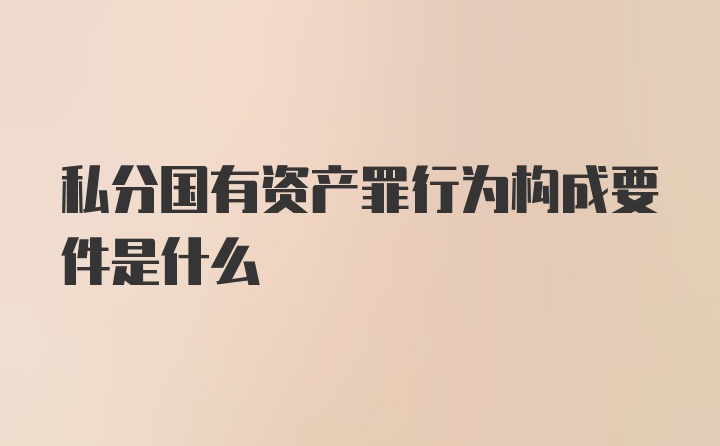 私分国有资产罪行为构成要件是什么