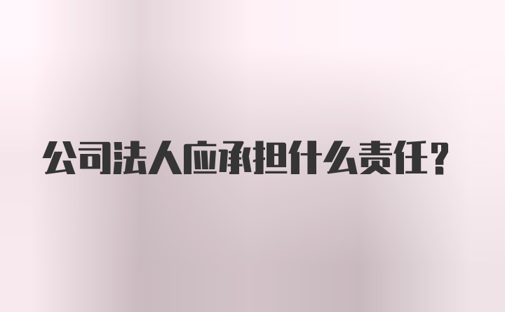 公司法人应承担什么责任？