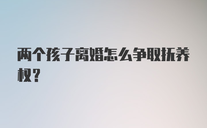 两个孩子离婚怎么争取抚养权？