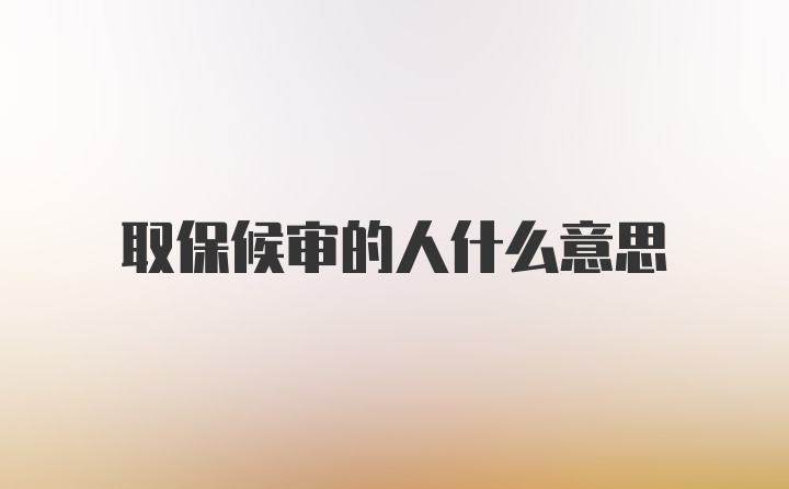 取保候审的人什么意思