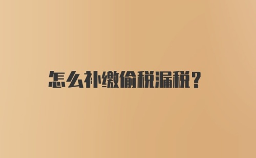 怎么补缴偷税漏税?