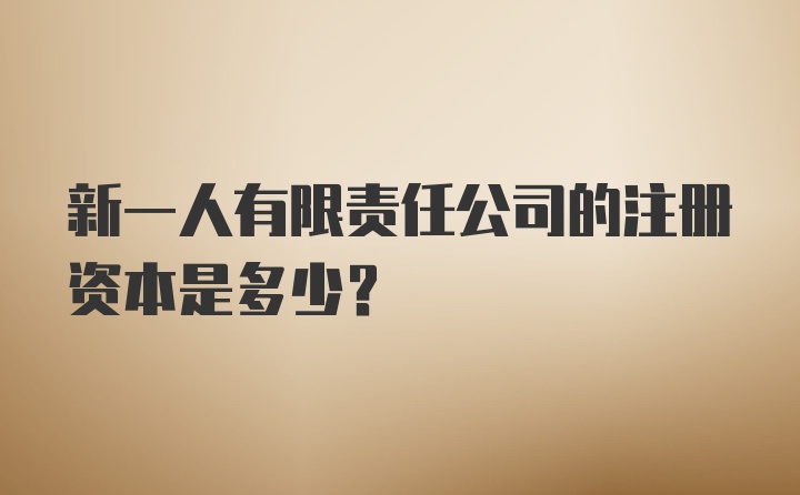 新一人有限责任公司的注册资本是多少？