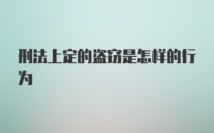 刑法上定的盗窃是怎样的行为