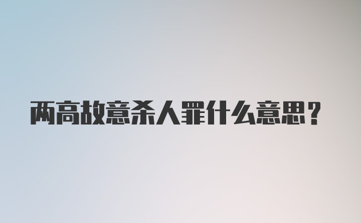 两高故意杀人罪什么意思？