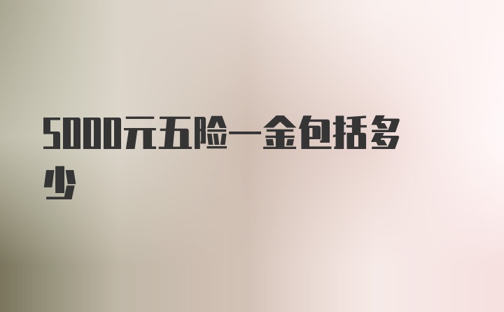 5000元五险一金包括多少