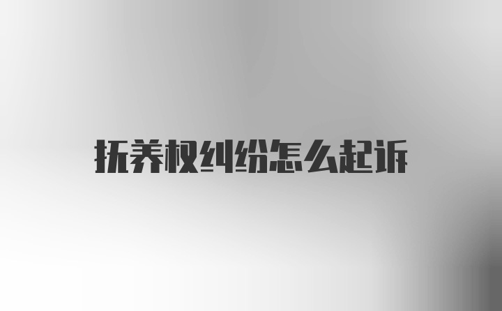 抚养权纠纷怎么起诉