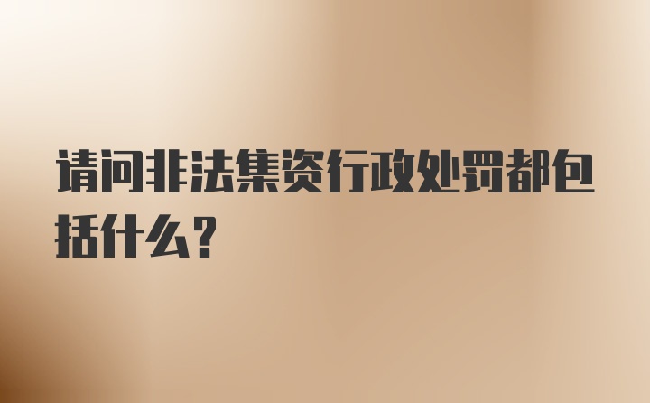 请问非法集资行政处罚都包括什么？