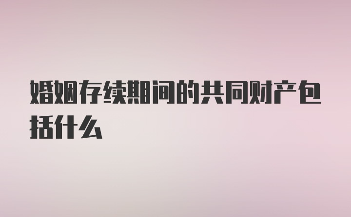 婚姻存续期间的共同财产包括什么