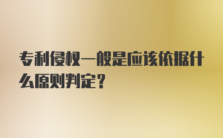 专利侵权一般是应该依据什么原则判定？