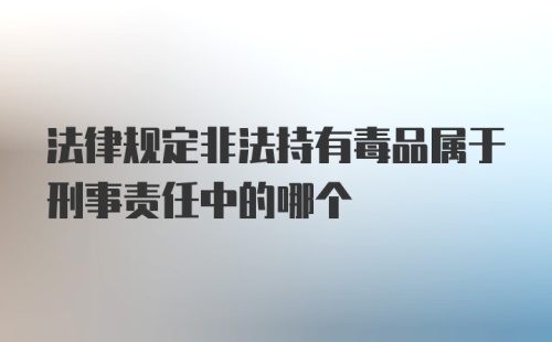 法律规定非法持有毒品属于刑事责任中的哪个