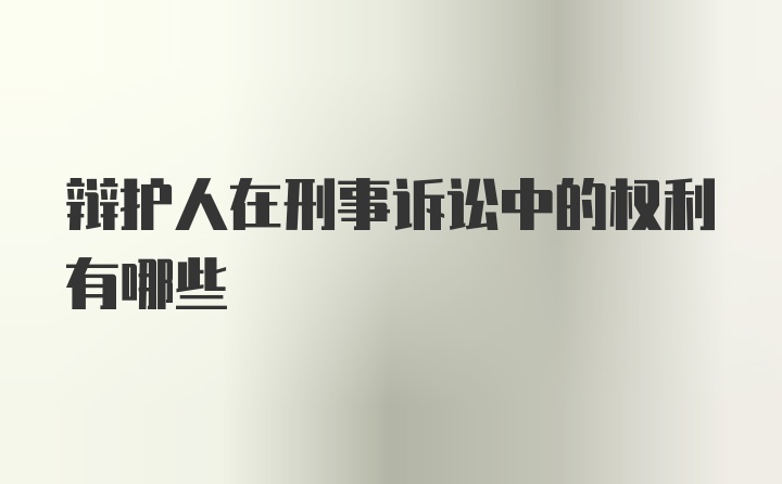 辩护人在刑事诉讼中的权利有哪些