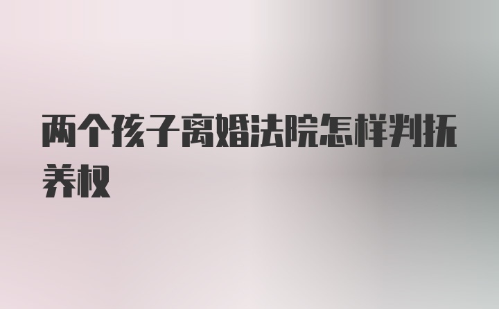 两个孩子离婚法院怎样判抚养权