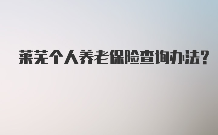 莱芜个人养老保险查询办法？